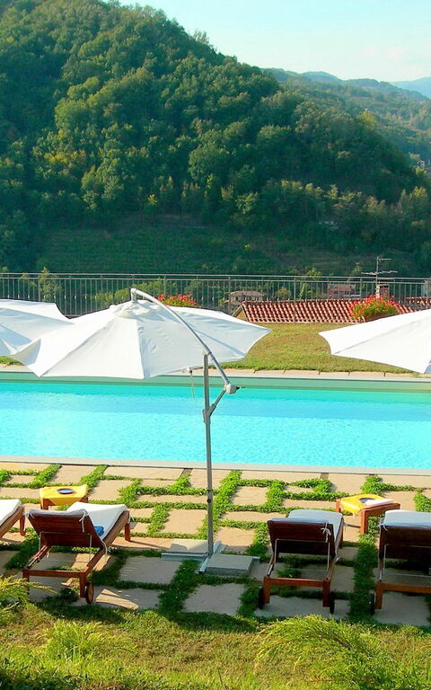 Villa Saida: zwembad