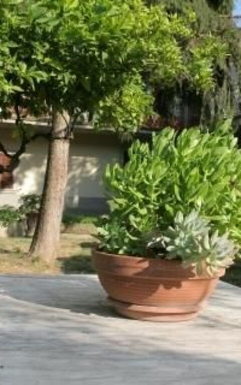 ***villa Contea: Buitenshuis, Tuin