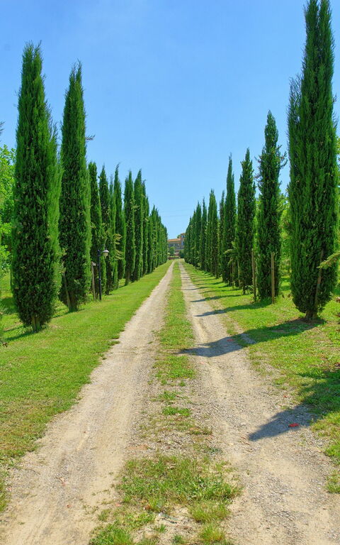 Villa Giare: Keer bekeken