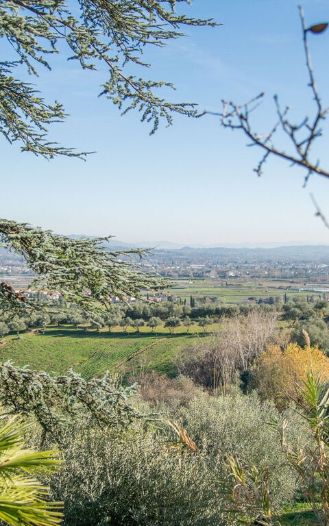 Villa Pedone: Buitenshuis