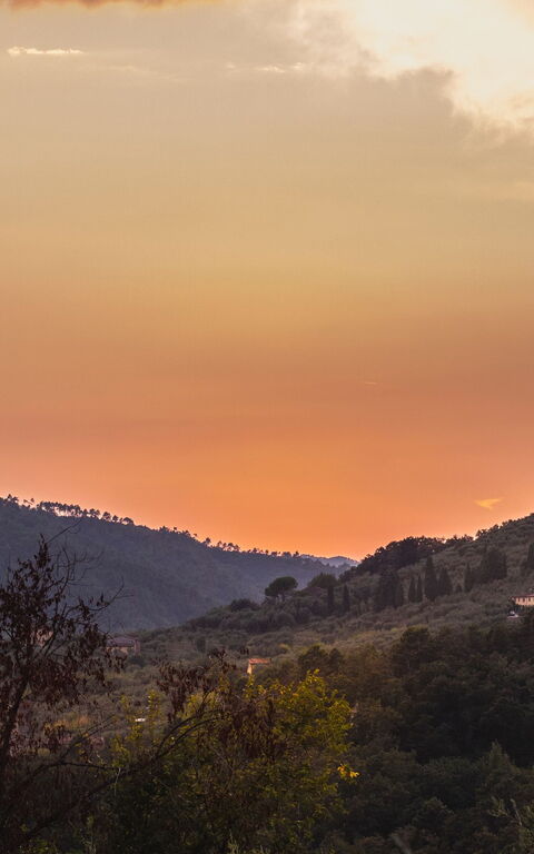 Villa Pedone: Buitenshuis