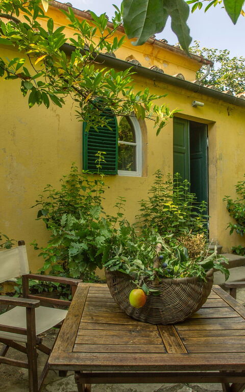 Villa Pedone: Buitenshuis, Tuin