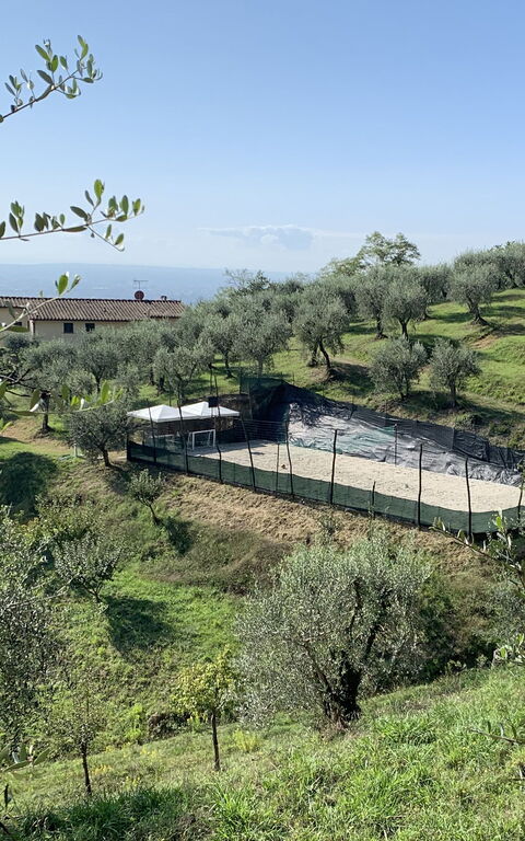 Villa Le Ferrette: Buitenshuis