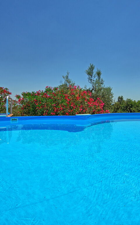 Villa Corolle: zwembad