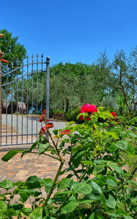 Villa Corolle: Hoofdingang