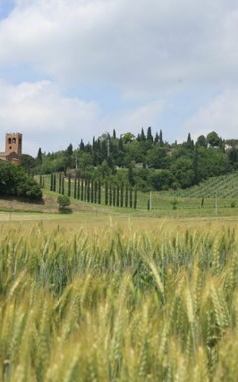 Villa Buonaparte: Keer bekeken