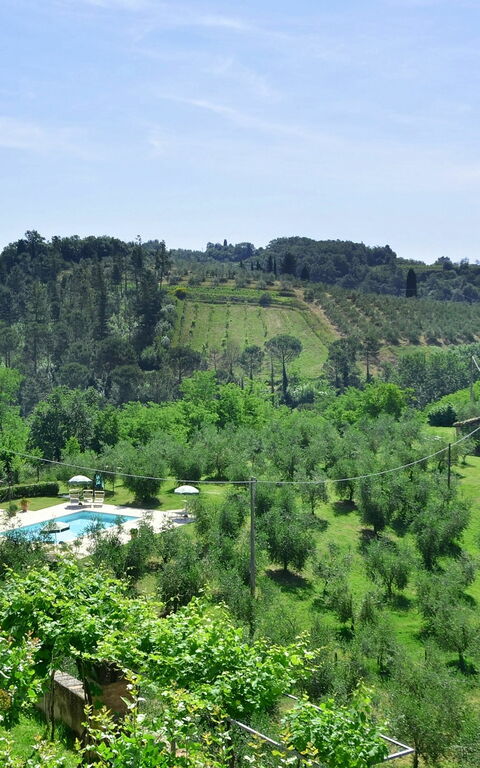 Villa Buonaparte: Tuin