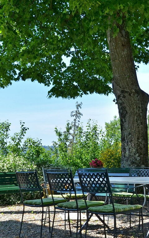 Villa Buonaparte: Tuin