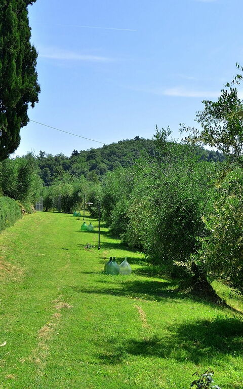 Villa Buonaparte: Tuin