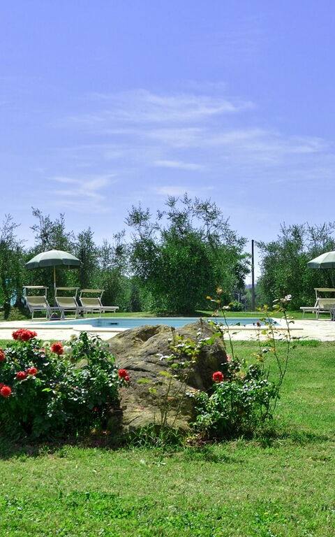 Villa Buonaparte: Tuin