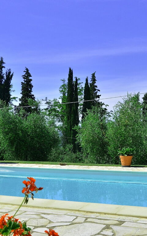 Villa Buonaparte: Tuin, zwembad