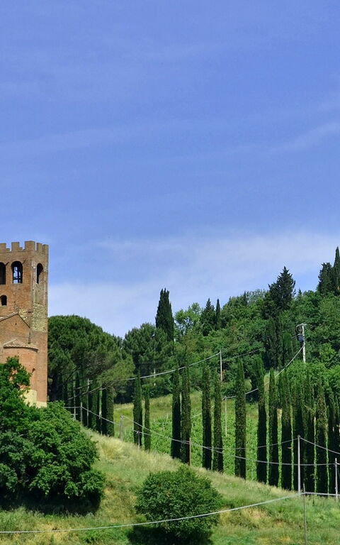 Villa Buonaparte: Tuin