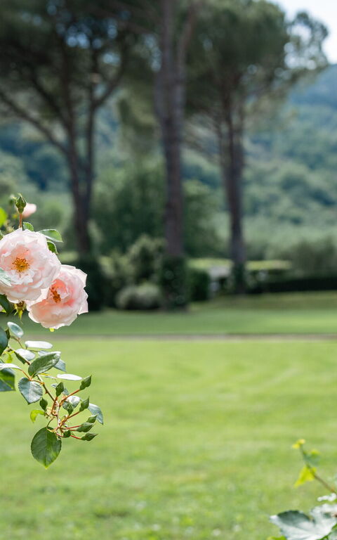 Villa De Ranieri: Buitenshuis, Tuin