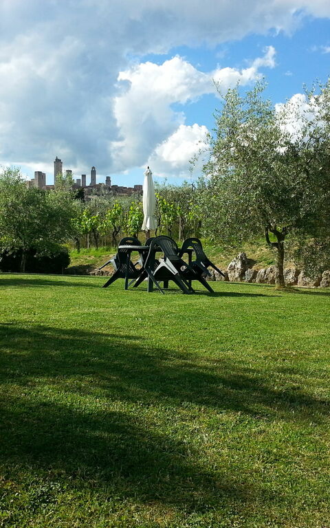 Podere Degli Olivi: Tuin