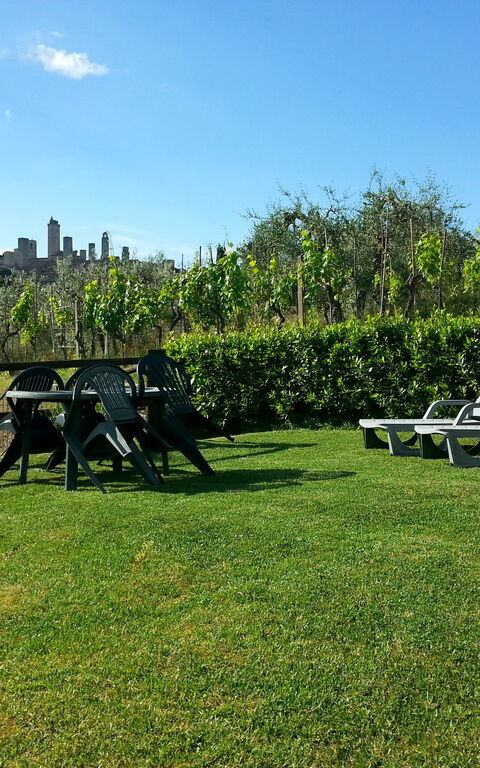 Podere Degli Olivi: Buitenshuis, Tuin