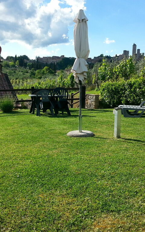 Podere Degli Olivi: Tuin