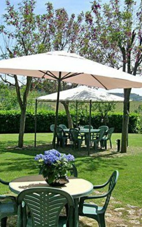 Podere Degli Olivi: Tuin