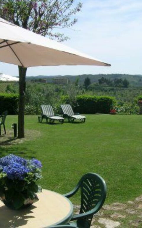 Podere Degli Olivi: Tuin