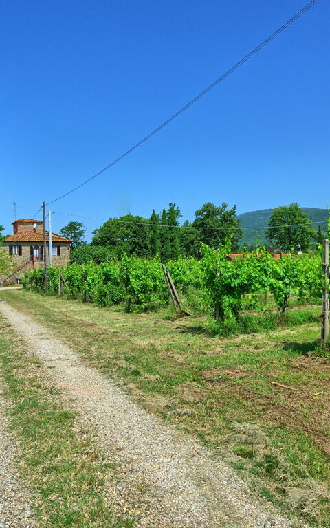 Villa Campogialli: Keer bekeken