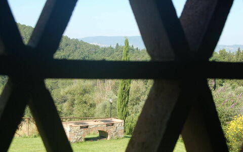 Accommodatie Bracciante