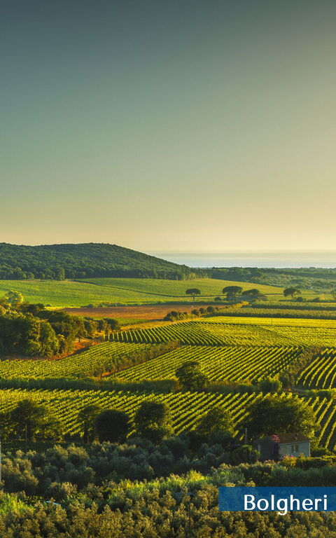 Guardistallo: Buitenkanten, Keer bekeken