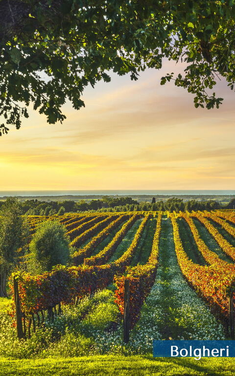 Guardistallo: Buitenkanten, Keer bekeken