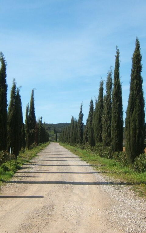 Villa Dei Cipressi: Buitenkanten, Buitenshuis, Hoofdingang