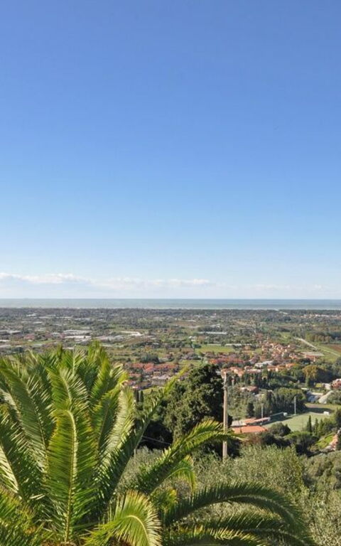 Villa Camaiore: Keer bekeken, Tuin