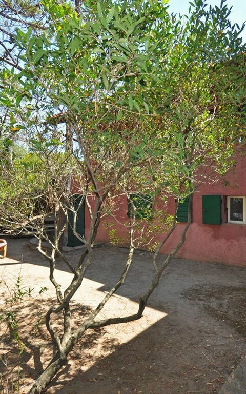 Casamare: Buitenshuis, Tuin