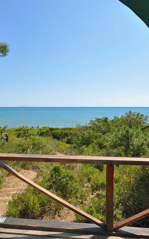 Casamare: Keer bekeken