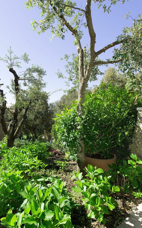 Villa Nova: Buitenkanten, Buitenshuis