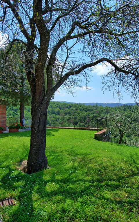 Villa Noceta: Buitenshuis, Tuin