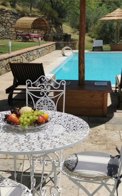 Villa Noceta: zwembad