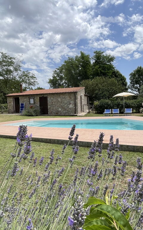 Funghi 1: Buitenkanten, Buitenshuis, Tuin, zwembad