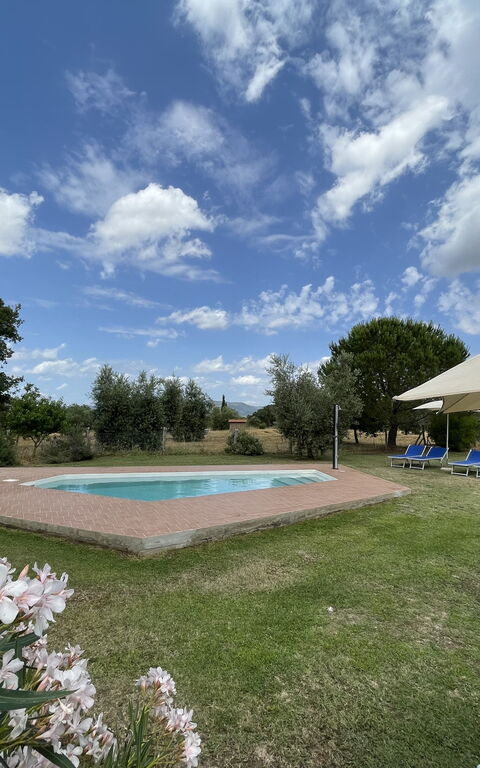 Funghi 1: Buitenkanten, Buitenshuis, Tuin, zwembad