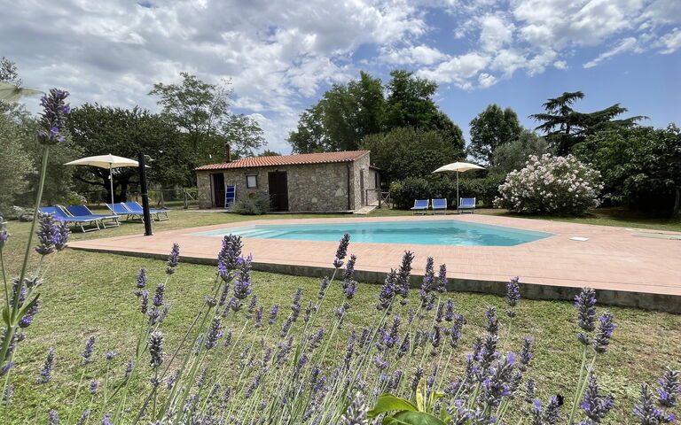 Funghi 1: Buitenkanten, Buitenshuis, Tuin, zwembad