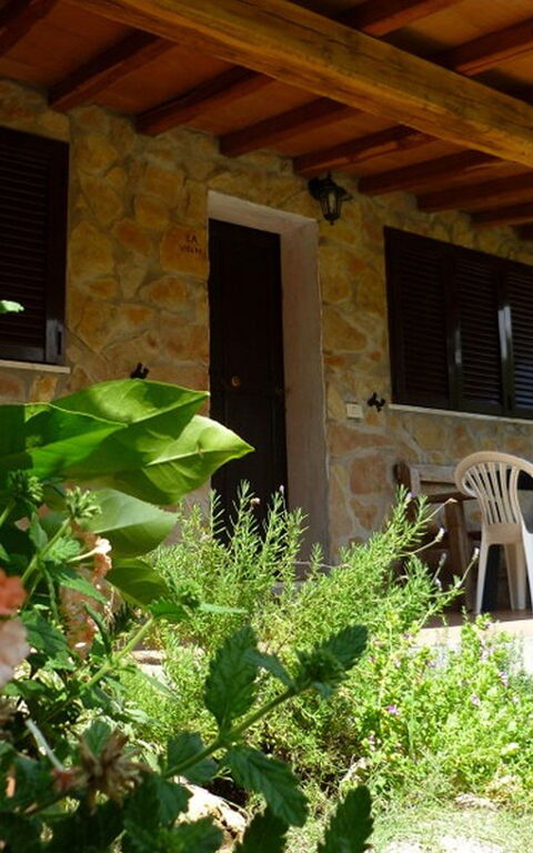 Funghi 2: Buitenshuis