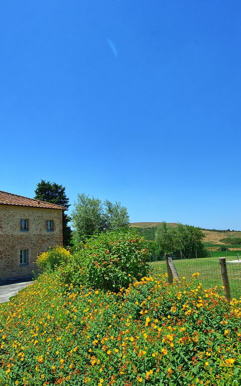 Casale La Valle - Castelfalfi: Tuin