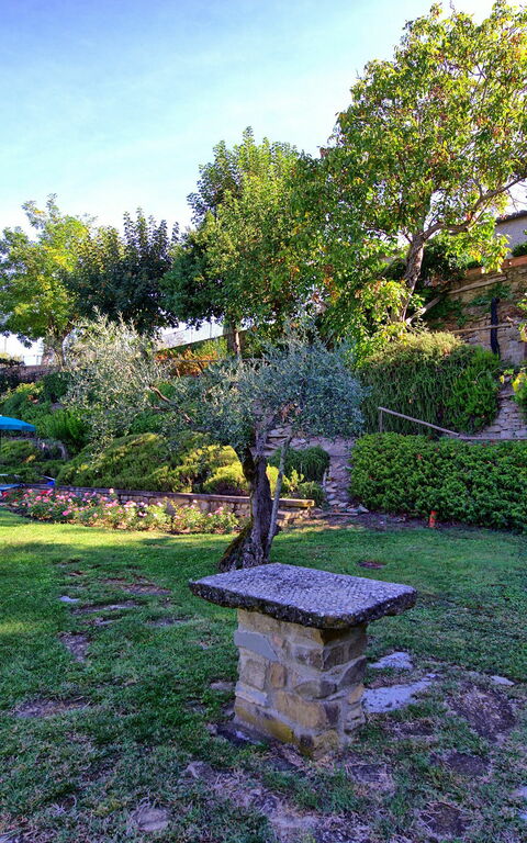 Casale Girifalco: Tuin
