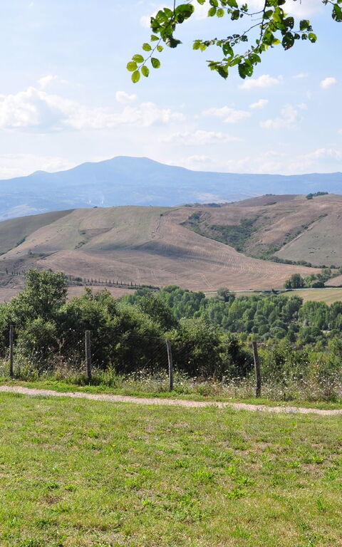 Le Querce Di Campocane: Keer bekeken, Tuin