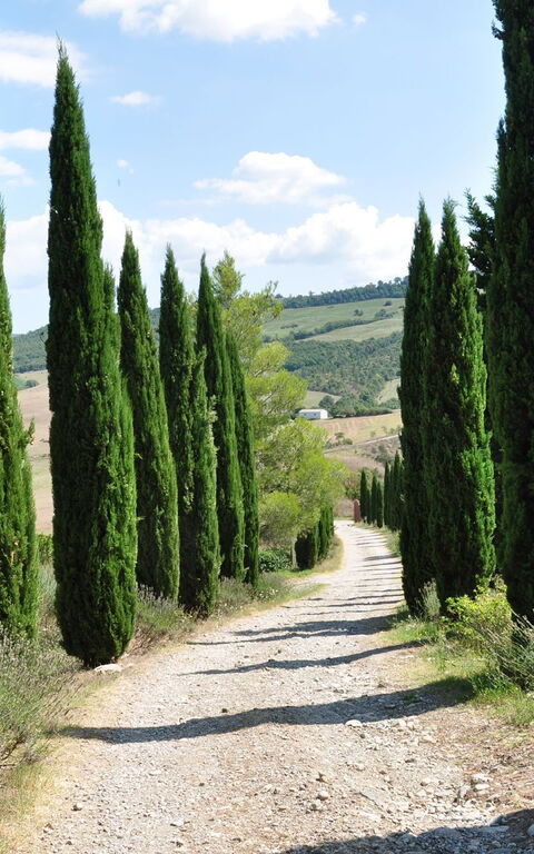 Le Querce Di Campocane: Buitenkanten