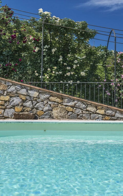 Villa Casalguidi: zwembad