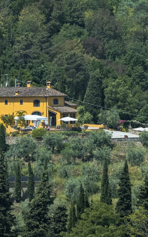 Villa Casalguidi: Tuin