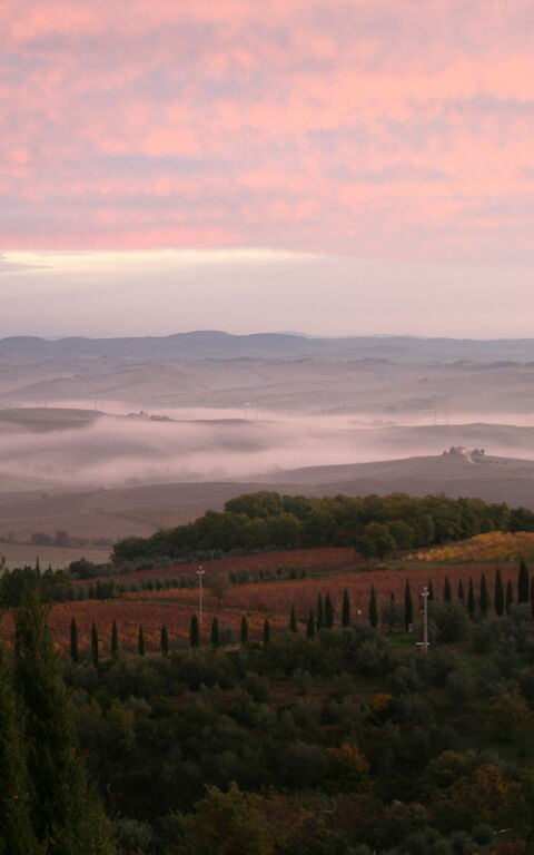 Villa Montalcino: Keer bekeken