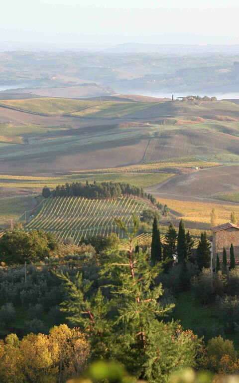 Villa Montalcino: Keer bekeken