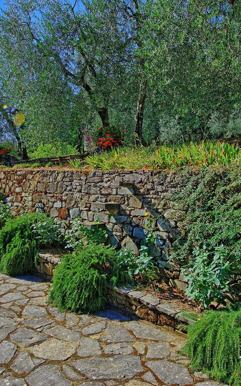 Villa Montalcino: Tuin