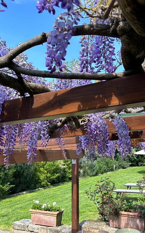 Antico Casale: Balkon / terras / patio, Buitenkanten, Buitenshuis