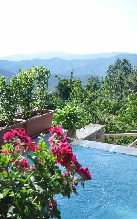 Villa Margherita Tre: zwembad