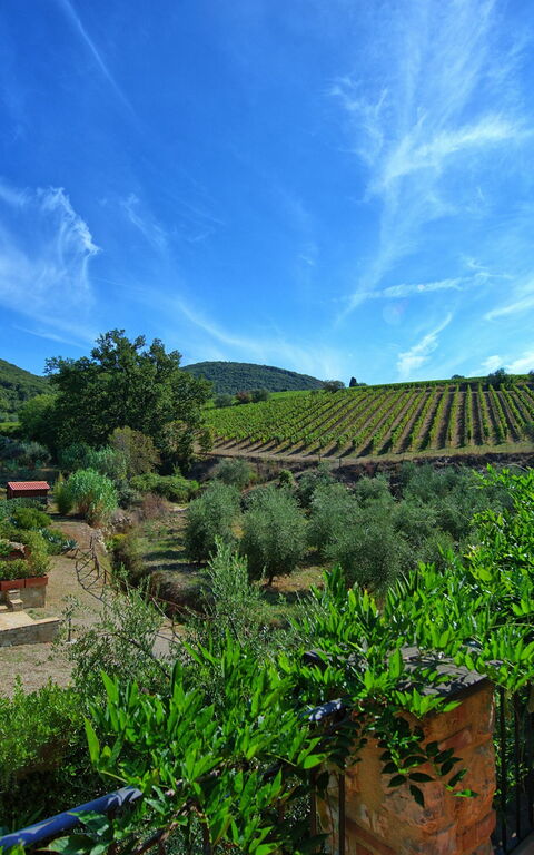 Casa Maria Luisa: Keer bekeken