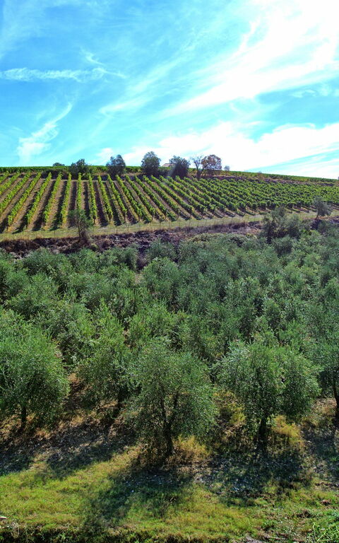 Casa Maria Luisa: Keer bekeken